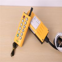 遼寧沈陽(yáng)現(xiàn)貨供應(yīng)吊車遙控器