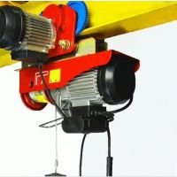 東莞長(zhǎng)安微型葫蘆