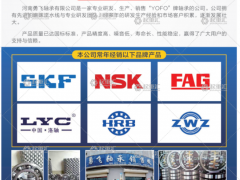 河南勇飛軸承有限公司已加入《起重匯采購指南》！