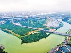 廣州增城區新塘鎮水環境治理取得階段性明顯成效