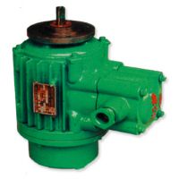 哈爾濱起升電機(jī)高品質(zhì)