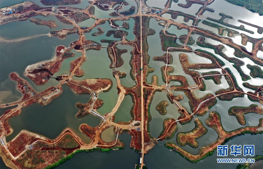 （環境）（3）海口江東新區生態修復